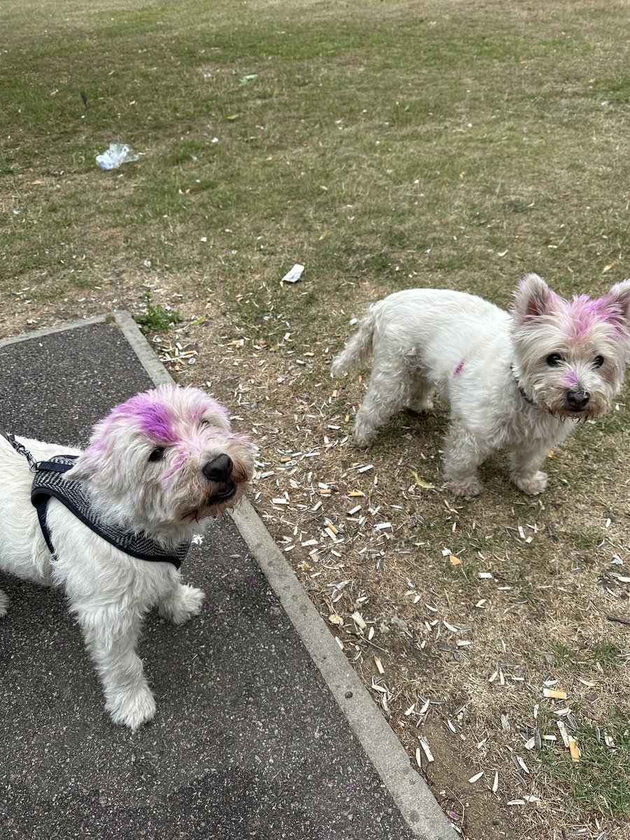 Miss A Raqeeb tweet media