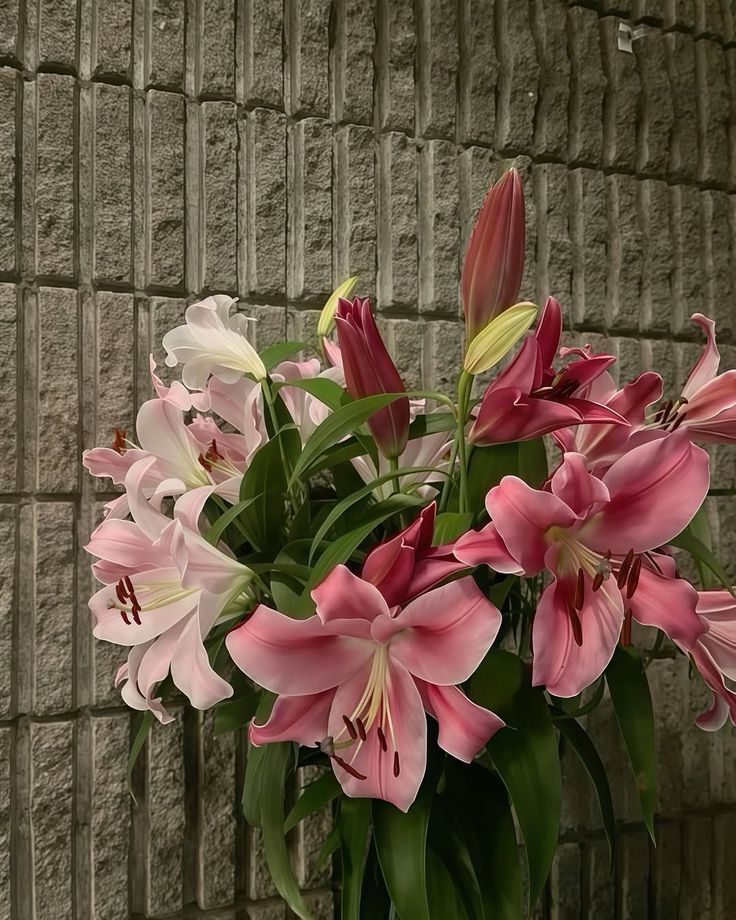 Nooni (@chaarpaai) on Twitter photo 