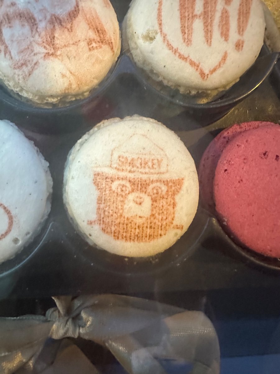ArtificialRoos's tweet image. zkgm. 
Spotted @SmokeyTheBera  in Cannes