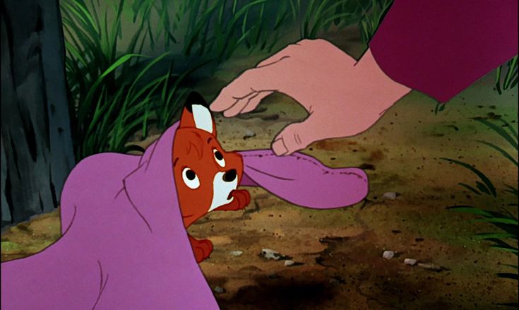 pupriosity's tweet image. his ears moved back as he watched the strawberries roll away from him, before looking up at the male a little timidly.