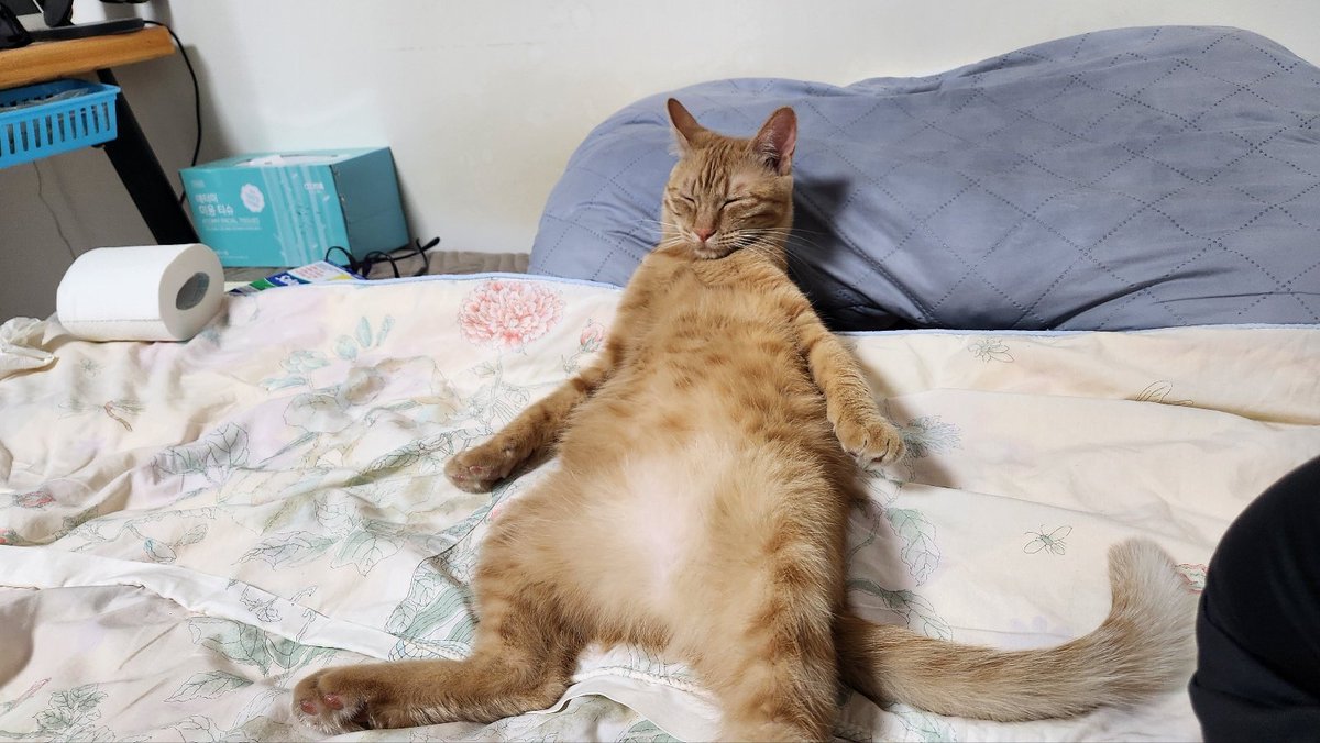 거하게 한잔 하고 국밥까지 말고 온 것 같음