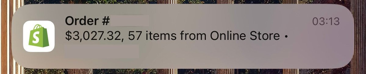 I love building brands