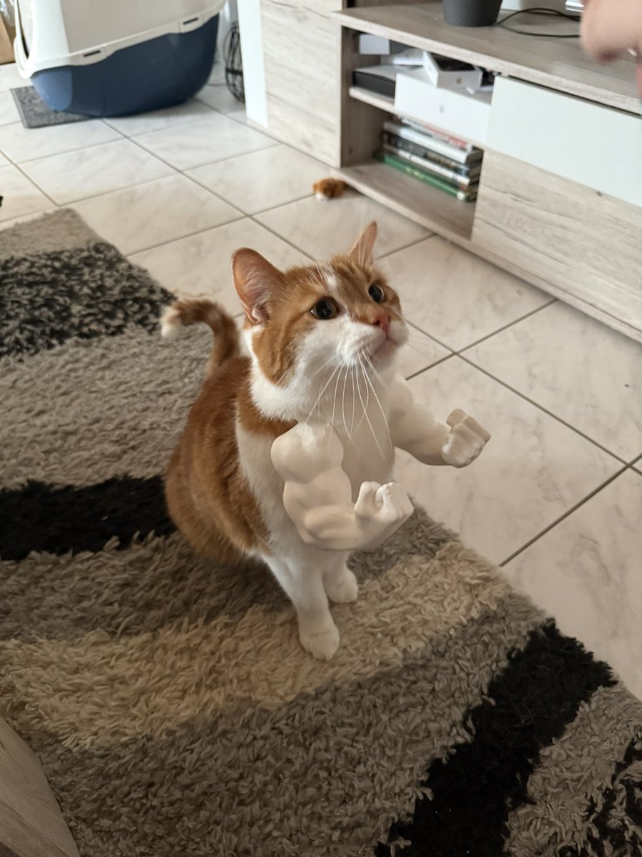 Das beste was ich bisher 3D Gedruckt habe