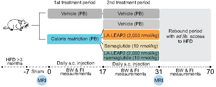 Diabetes, an ADA research journal 🧪 tweet media