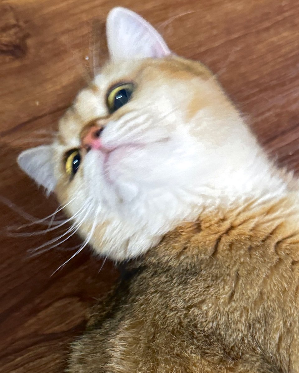 มันจ้าาาซะเหลือเกิน☀️