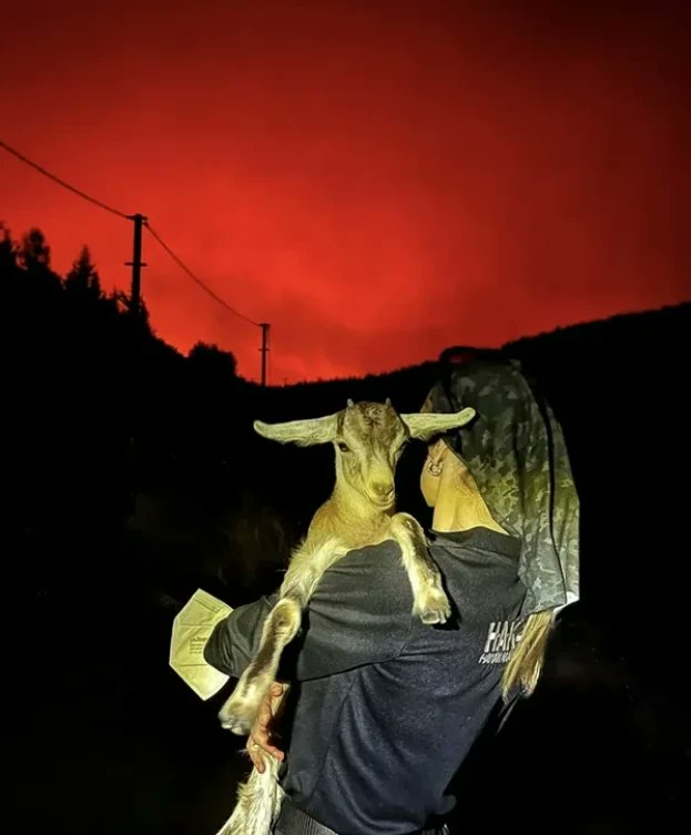 1/13

A Celebration Of Compassion - A Thread

We witness humanity's darkest side in 🇹🇷

It's tempting to paint an entire country with a broad brush, but this would be unjust

The #wildfires give us an opportunity to celebrate the kindness we know exists in Turkey 

Read On 🧵⬇️