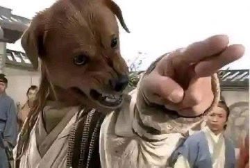 Mujakiwulira mbwa mweee😂