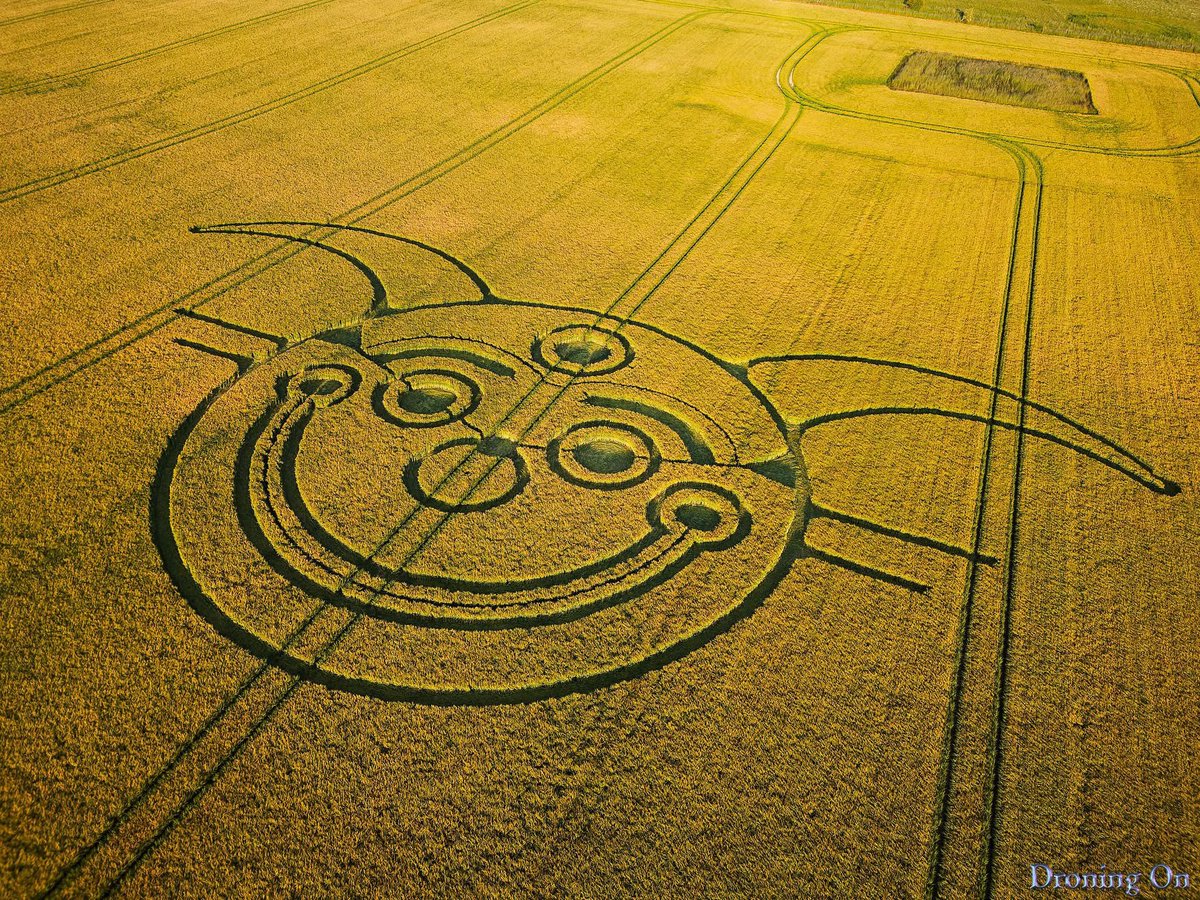 Harry Pack ππ΅π (@harrypackart1) on Twitter photo Jester Cropcircle - 10th Juneβ¦ just up the road from Stonehenge... They seem to have a good sense of humourβ¦
#prismelves
#cropcircles Jester Cropcircle - 10th Juneβ¦ just up the road from Stonehenge... They seem to have a good sense of humourβ¦
#prismelves
#cropcircles
