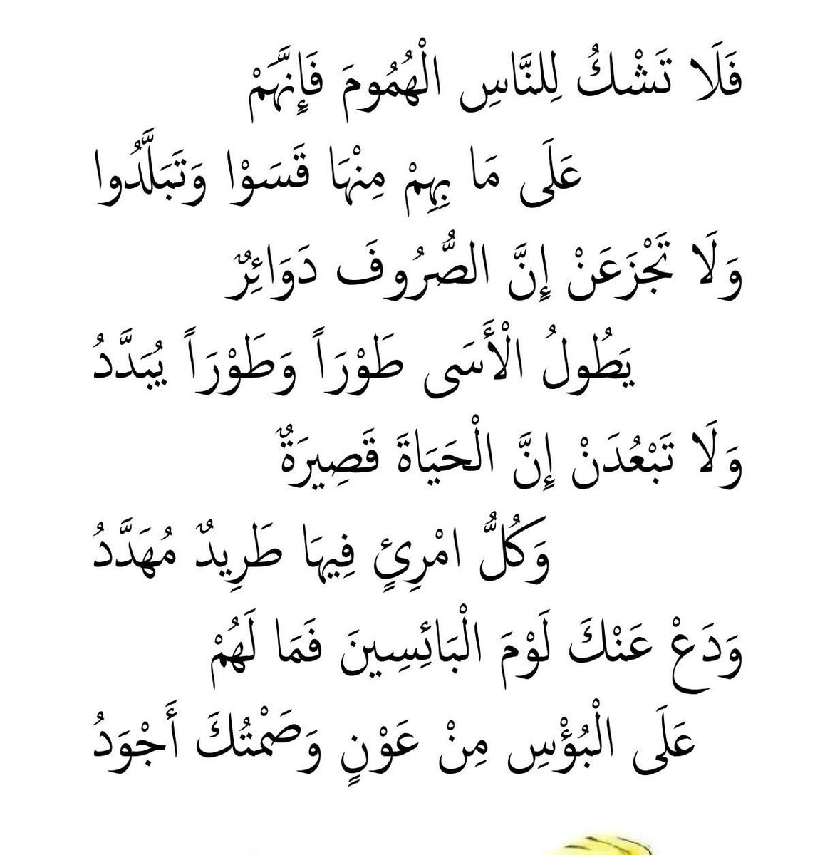 العشق والحب في الله (@alzuan77) on Twitter photo 