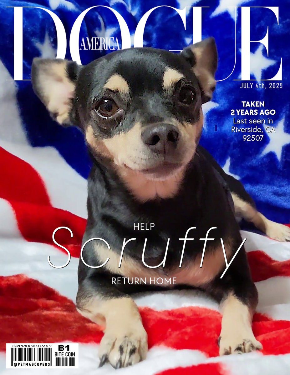 Pet Magazine Covers (@petmagcovers) on Twitter photo As a July 4th celebration, let's help Scruffy to return home.
Scruffy <a href="/80sqween/">❤️🏍️Chewby & Snow White🛵❤️</a> was taken 2 years ago, last seen in Riverside CA, 92507 - DM if you have information.
#Dogs #Chihuahua #Anipals #MissingDog #missing #Help #july4th2025 As a July 4th celebration, let's help Scruffy to return home.
Scruffy <a href="/80sqween/">❤️🏍️Chewby & Snow White🛵❤️</a> was taken 2 years ago, last seen in Riverside CA, 92507 - DM if you have information.
#Dogs #Chihuahua #Anipals #MissingDog #missing #Help #july4th2025