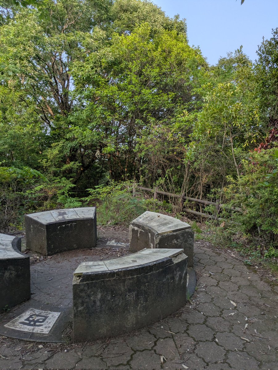 牟礼山に登ってきました⛰️
木漏れ日の中を歩いて、山頂では静かな展望スポットと街の景色が広がっていて癒やされました🌿
こんな隠れた場所、好き。
#牟礼山 #登山