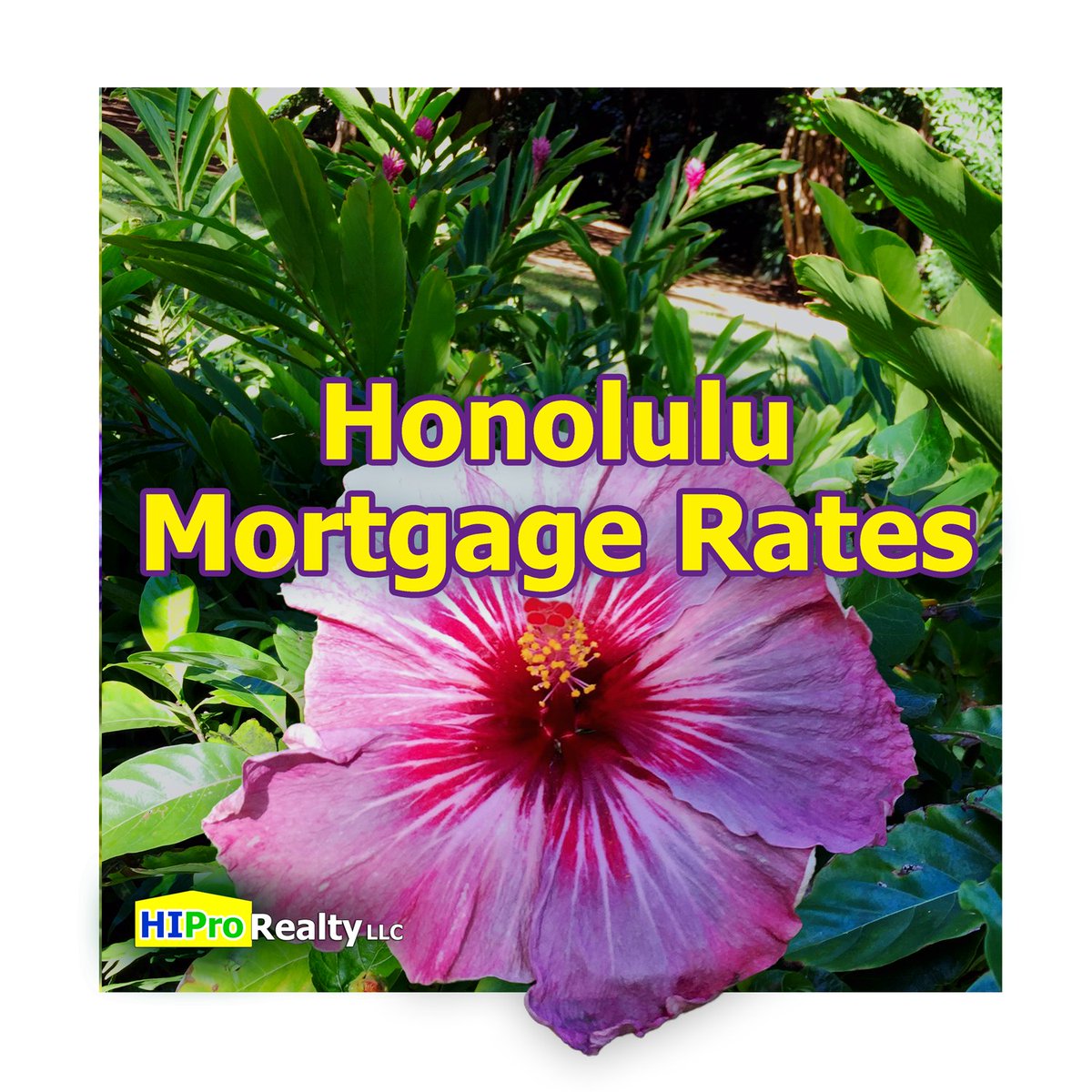 KimoStowell's tweet photo. Honolulu Mortgage Rates July 2025
#Honolulu #Oahu #Hawaii #HIProRealty
https://t.co/nYSEiSsrE2 https://t.co/YqY0ZXXEUl