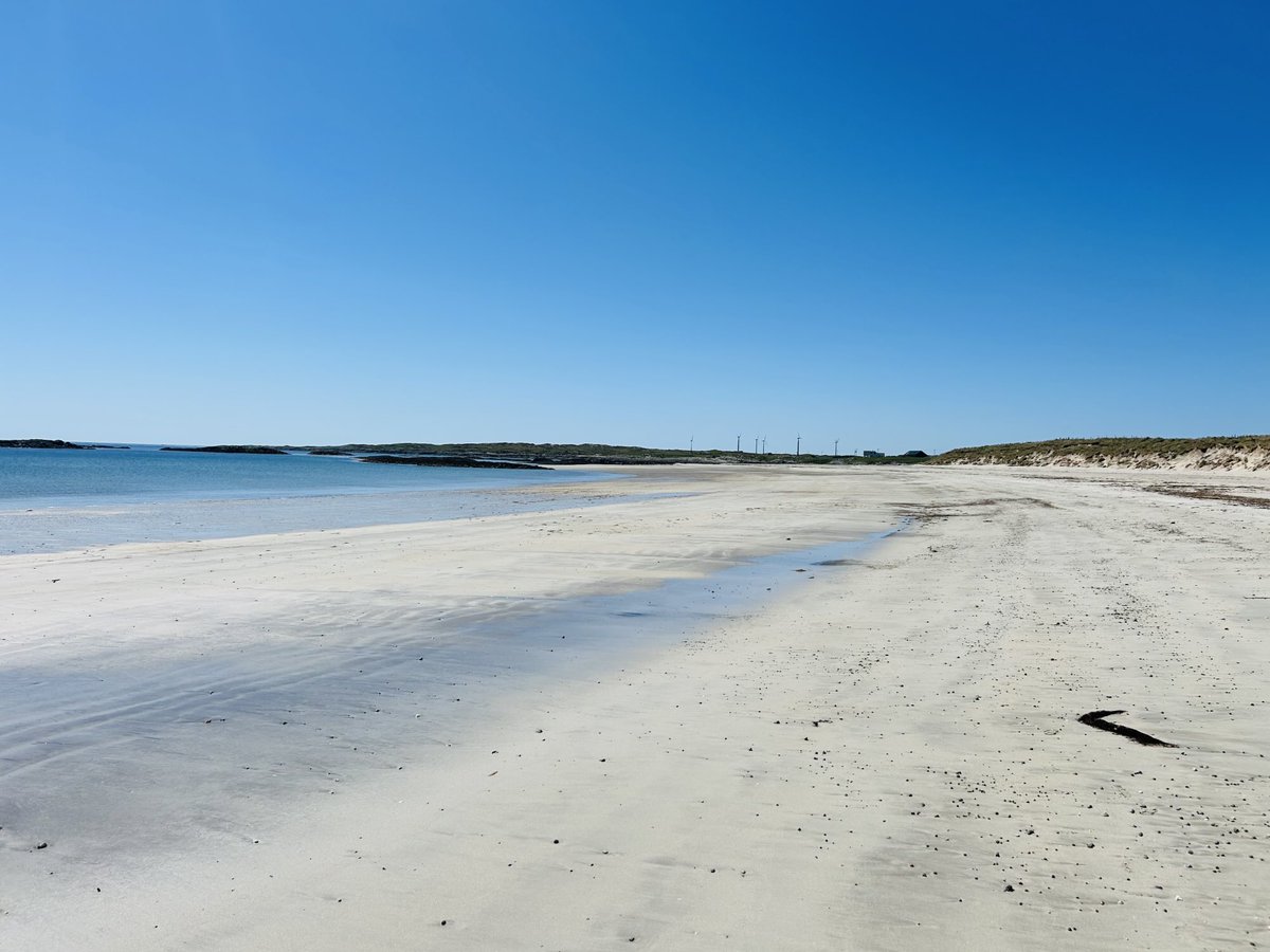 Scottish Beach Project (@scottishbeach) on Twitter photo Scottish beach advice for the Summer.
Arrive early to grab a spot.
<a href="/VisitScotland/">VisitScotland</a> 🏴 Scottish beach advice for the Summer.
Arrive early to grab a spot.
<a href="/VisitScotland/">VisitScotland</a> 🏴