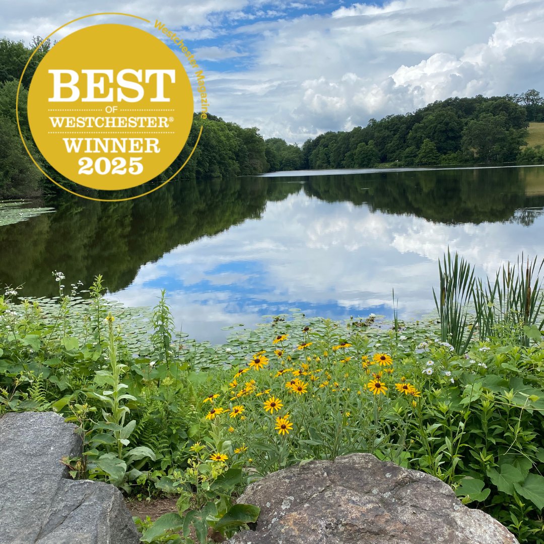 Thank you, Best of Westchester voters! YOU made Rockefeller State Park the Best Public Park in Westchester Magazine's annual contest. It's an honor to serve you every day. Plan your visit at loom.ly/43BT8SI.

Photo courtesy of Donna Garofalo.