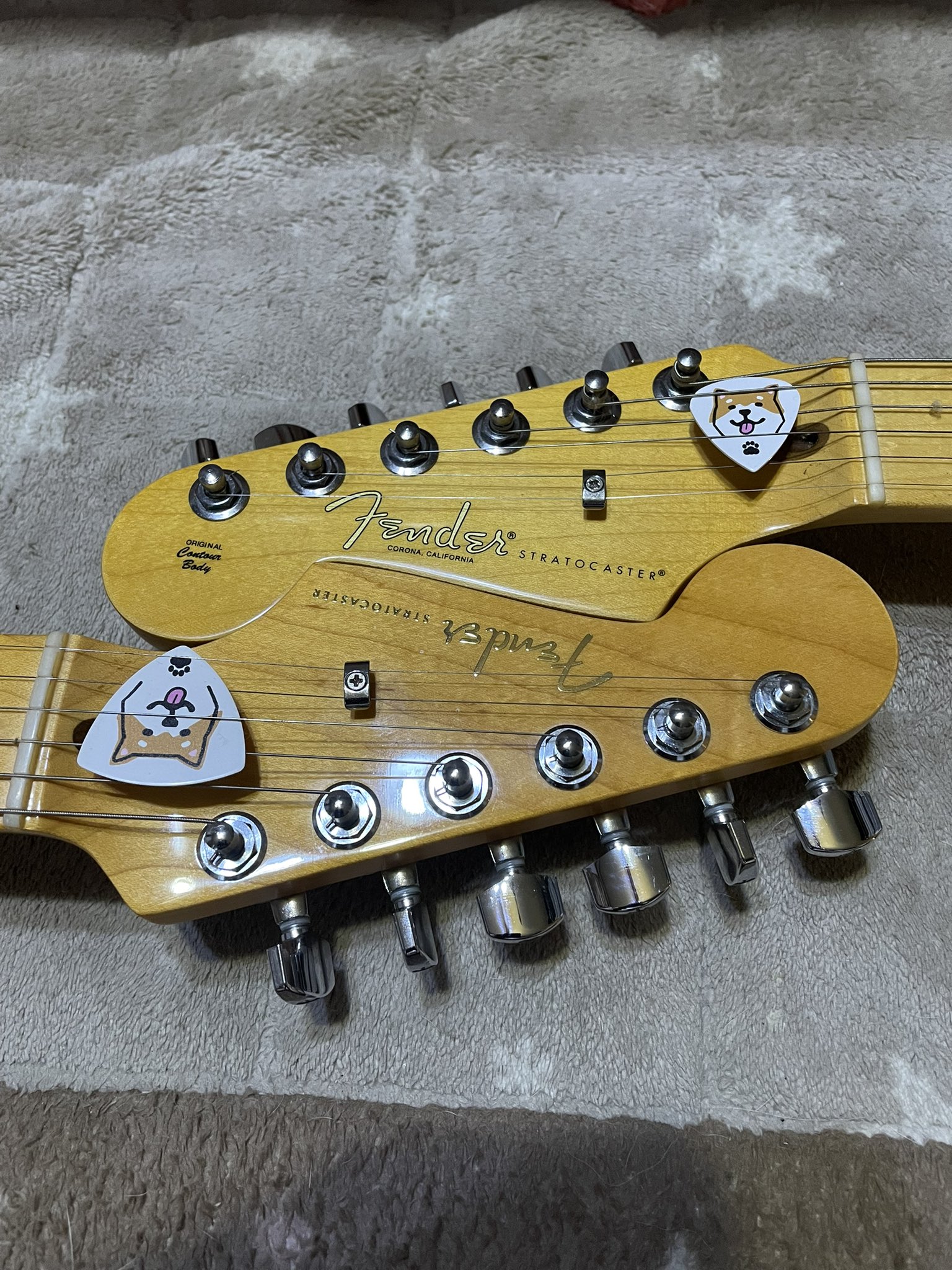 HI-GOLD - toraトラ 中古】Tokai / LS All Gold【新宿店】【値下げ】 | イシバシ楽器