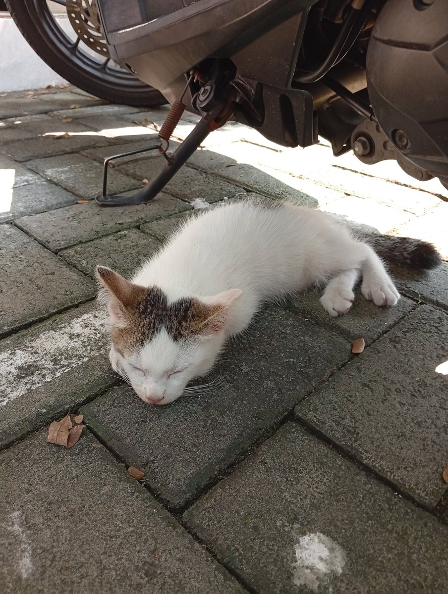 Ternyata dia ga ilang