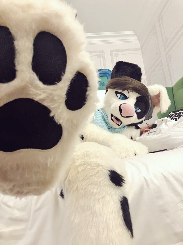 If y'all don't stop with the "I'll hang out with you later, I'm doing (insert con things) right now", I'm gonna step on you! 

You'd probably like that though 🤔

All jokes aside, I'm having a great time~ I hope everyone else is having a good time at AC too!

#fursuit #footpaws