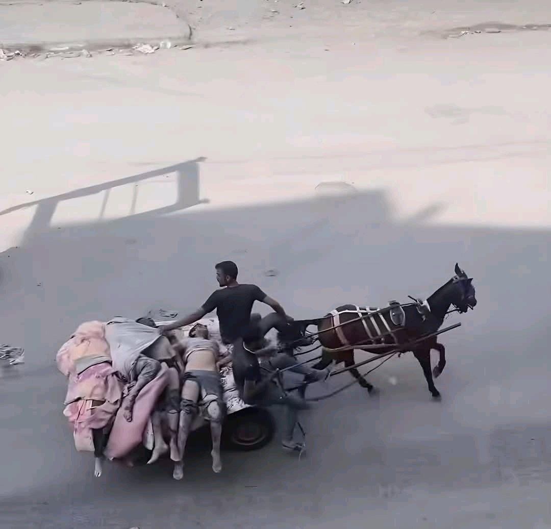 Boğucu bir fotoğraf…

Şehit bedenleri bir eşeğin çektiği arabada.
Ne ambulans var, ne kefen, ne mezar…

Bu her gün Gazze’de yaşanıyor.