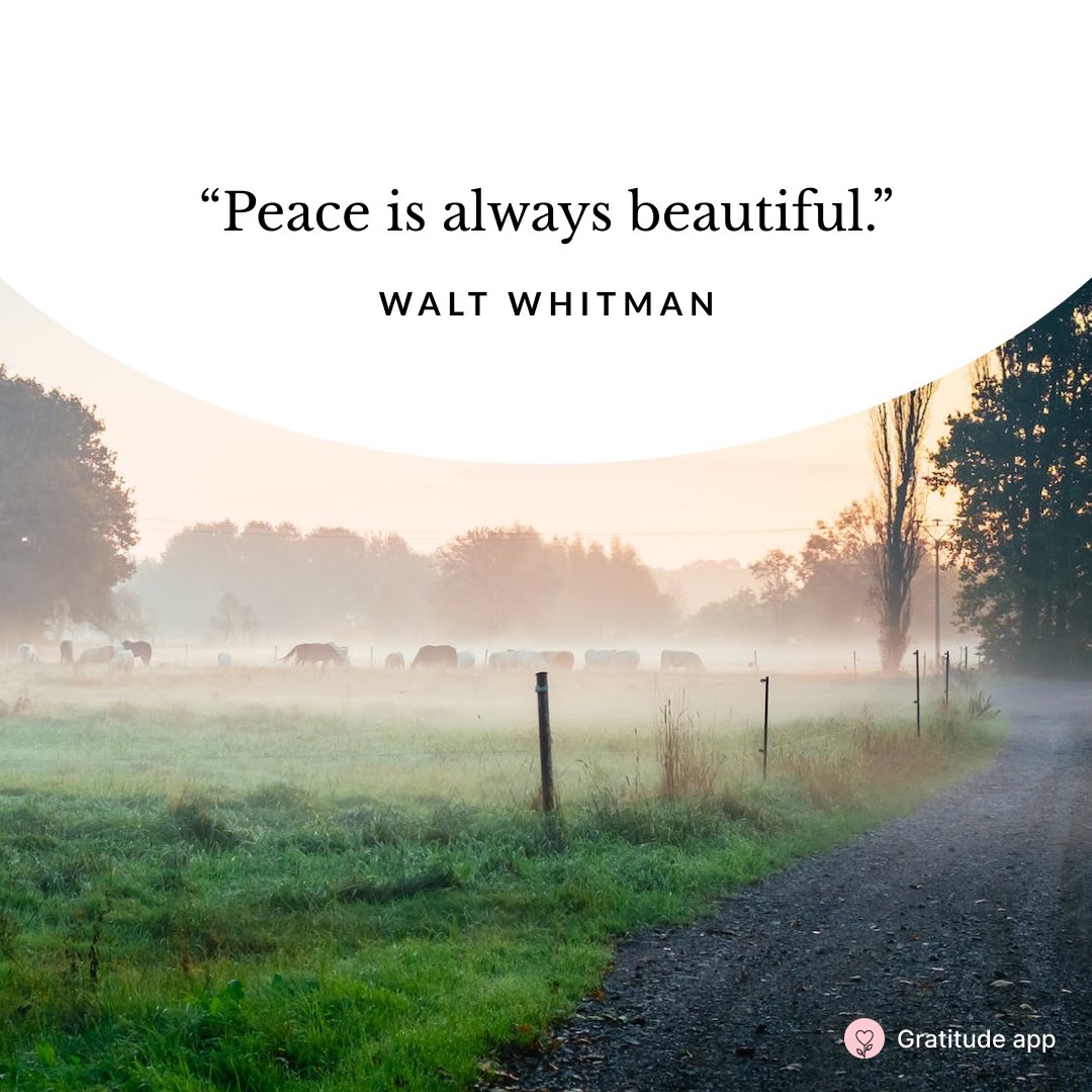 Here's a beautiful quote from my Gratitude app to brighten your day 😇 gratefulness.page.link/yqbs