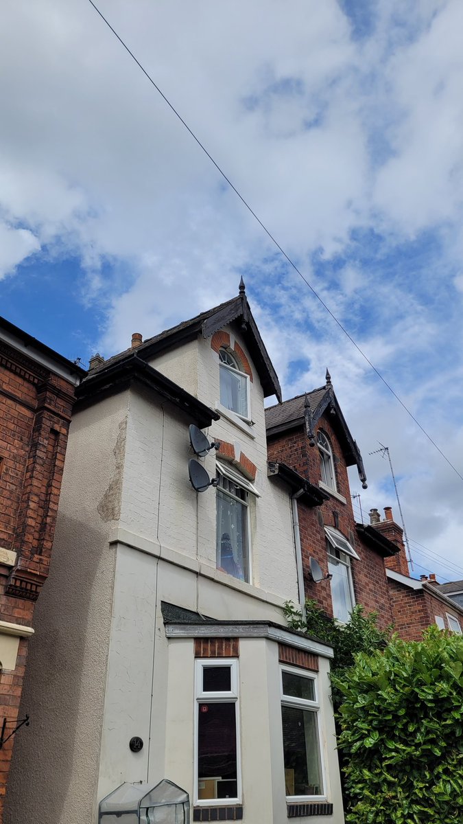carlcarver's tweet image. Spot the cat.