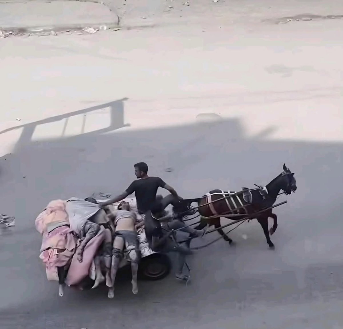 غزة..
لا سيارات إسعاف، لا أكفان، لا حياة..!