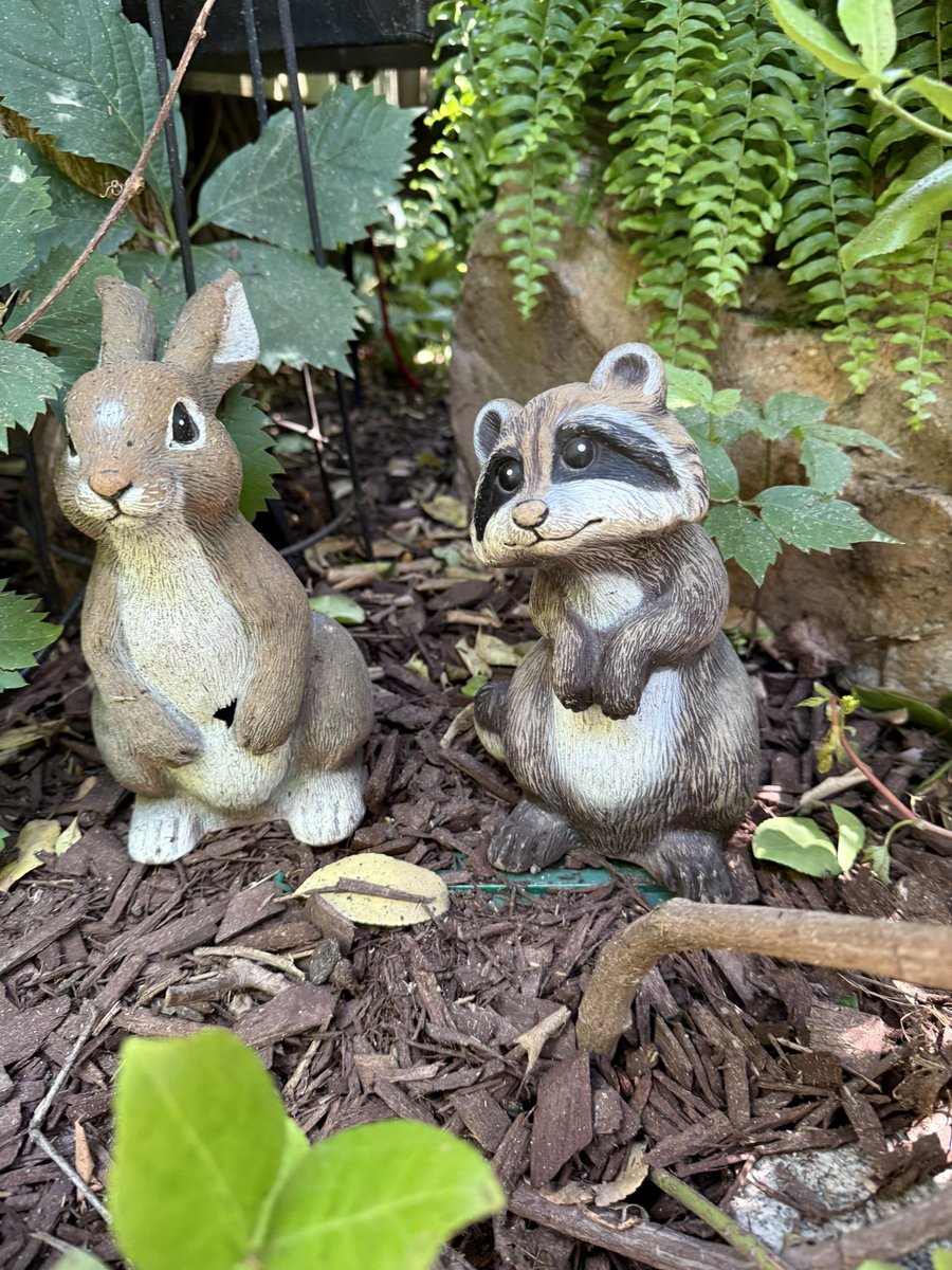 StevenPonFarr1's tweet image. Twin GK'S played "hide the bunny and raccoon" a couple of weeks ago. They'd call #YiaYia (grandmother)
#Dedo (grandfather) to find them.
Mr. Raccoon was MIA until just now!
Reunited !!!
Until next time !!