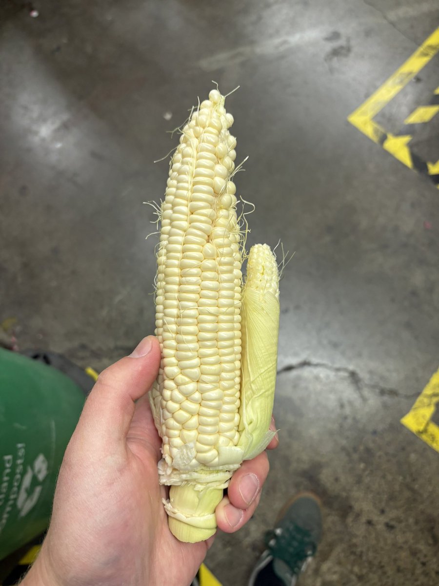 HammerFist3's tweet image. It’s 2025 The country girls are far past “making due” these days