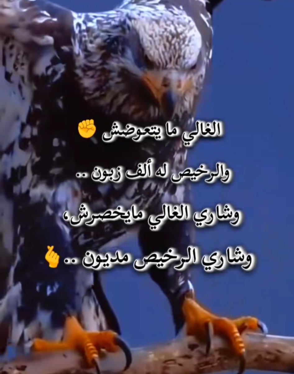 إياك والرخيص معدنه يصدأ
بيعوا من غير فلوس تكون كسبان
واشتري الغالي بعمرك حتي ولم 
يتبقي مال هو أعلي واغلي 👌