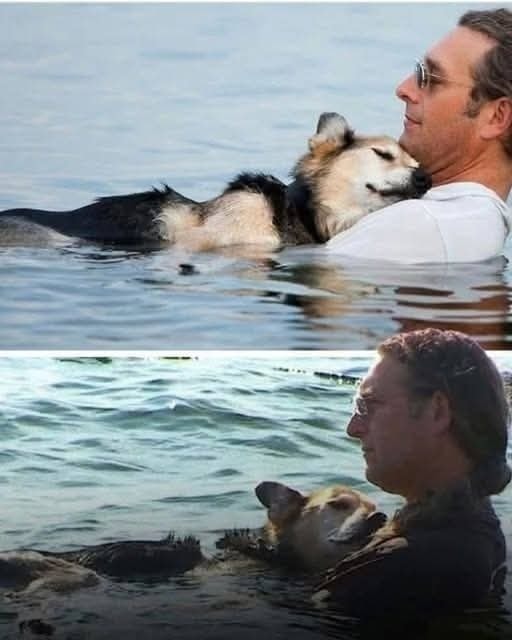 I lived with him for 19 years. My dog(Schoep), my friend, my life companion.
He was old, he had pain, arthritis made him suffer... but he was still there with me.
The water was the only thing that relieved him. So every day I carried it to the lake. I stood there, motionless,