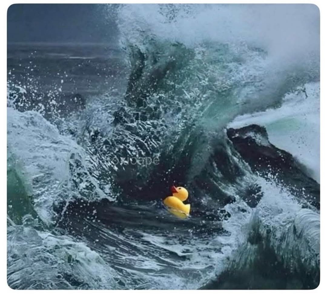 ELF en medio de todo el caos con <a href="/ocesa_kpop/">OCESA K-pop</a> <a href="/ocesa_total/">Ocesa Total</a> 
Tratando de mantener el tt para el boicot, informando a las demás a qué no compren, peleándose con los nadaqueverientos que atacan y batallando con sus responsabilidades 
Elfas, neta las admiro 
#ELF_NO_COMPRA #OCESA_OUT