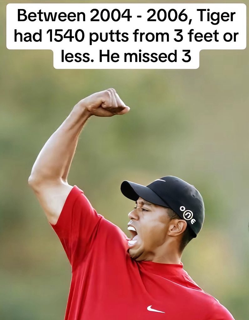 Truly incredible 🤯🐅