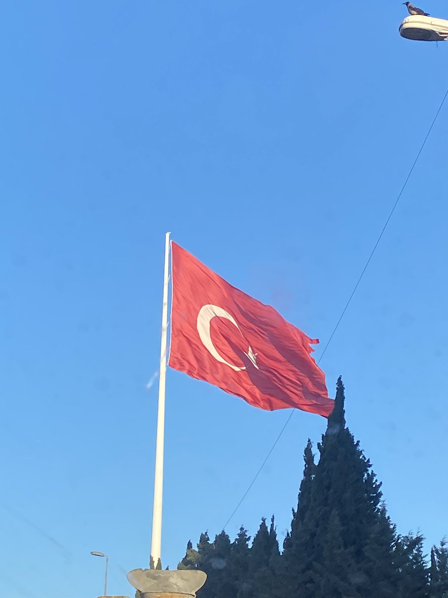 bsrauzn1's tweet photo. Yemin ederim Dünyanın en güzel bayrağı bizim be iyi ki iyi ki Türküm🇹🇷 https://t.co/6aTe7CLqbk