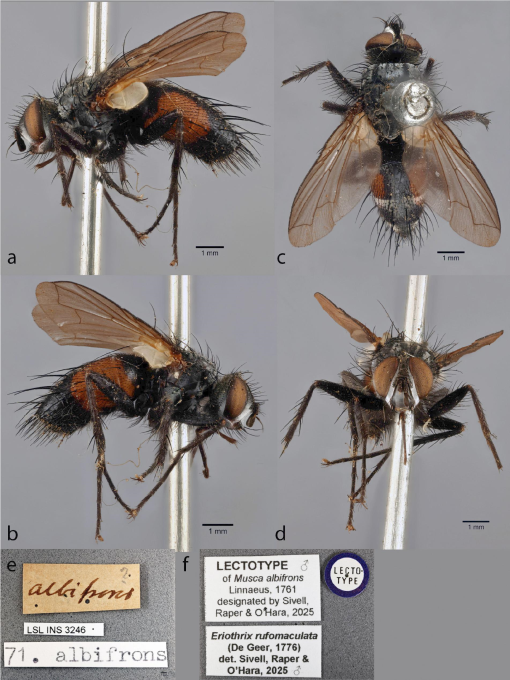 Integrative Systematics tweet media