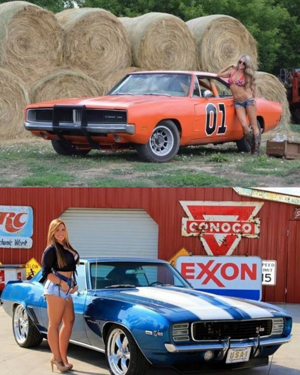 Vintage Cars Collection tweet media