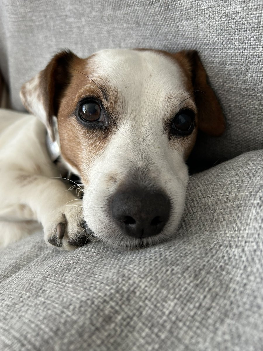 It’s my big birthday, pals. I’m 10 🎉🎉