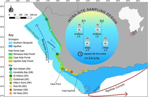 consbiog's tweet image. Of #Biogeography, #Fishes and #Kelp: Environmental DNA (#eDNA) #Metabarcoding the Great African Seaforest
doi.org/10.1111/ddi.70…