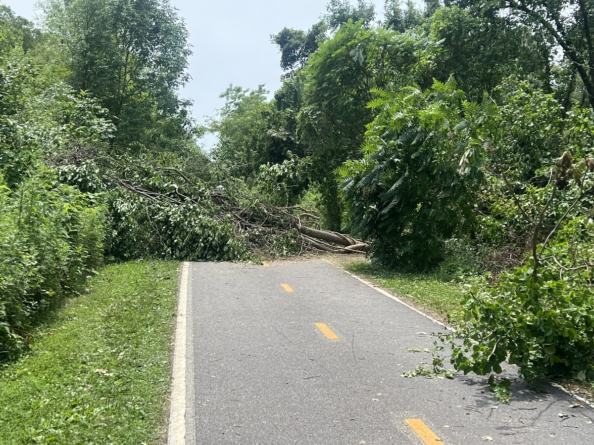 RyanWelchPhotog's tweet image. The East Bay Bike Path has quite the obstacle course set up along its route. Courtesy of Mother Nature.
