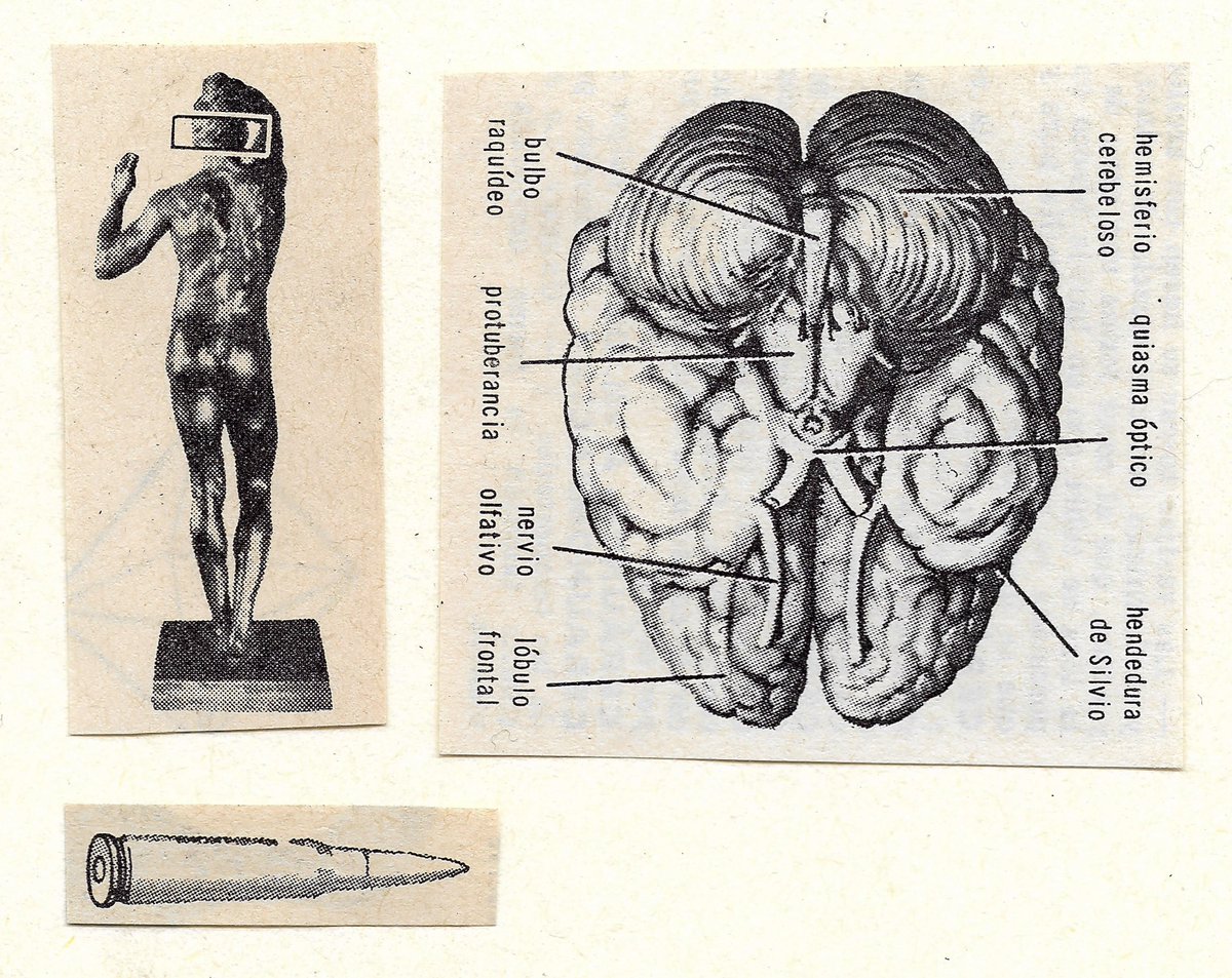 🝆 (@policefala) on Twitter photo 