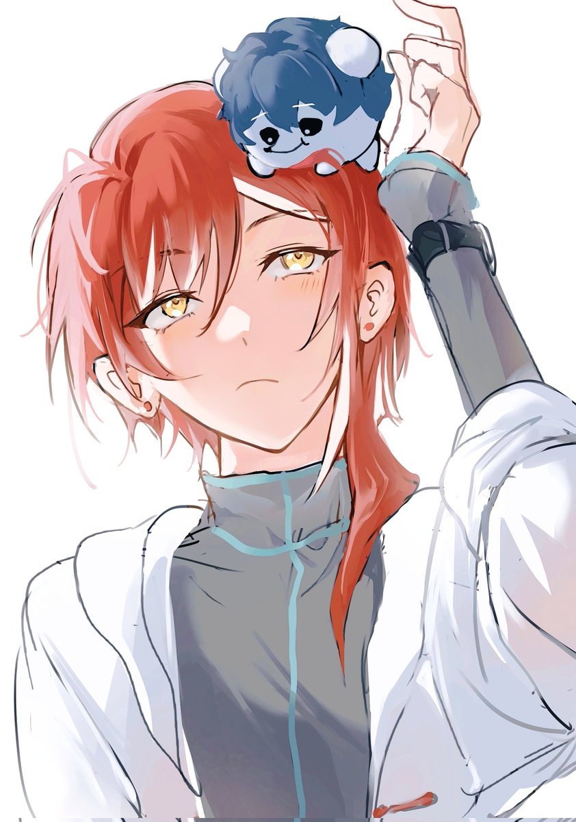 AkiaBird's tweet image. 猫与鼠