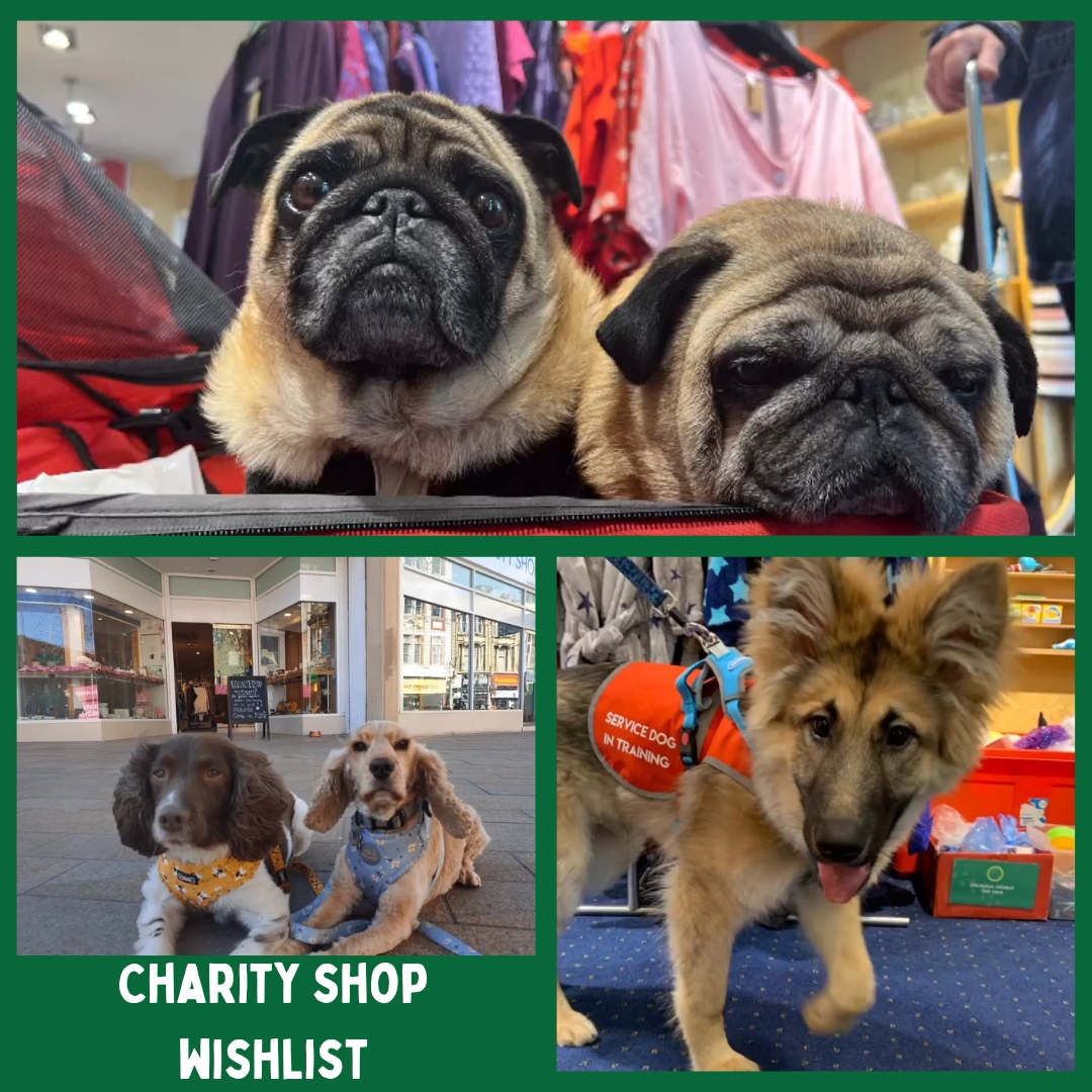 Our charity shops bring in much needed funds but they are running low on some small items that keep them running. Please could anyone help by visiting their wish list? 🙏
amazon.co.uk/hz/wishlist/ls…
#rescue #Amazon #donate  #rescuedog #k9hour #teamzay #dog🙏
