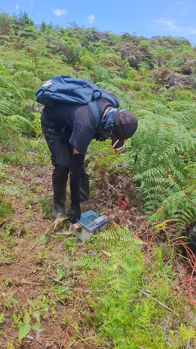 PrecipitateGold's tweet photo. Ground IP geophysical surveying continues over multiple prospective targets at the Juan de Herrera Project, DR. Training and employing local staff. $PRG $PREIF $PRGV $PRG.V #gold #PreciousMetals #mining #miningstocks #stockpicks #HiringLocal https://t.co/0o0Ua1yig9
