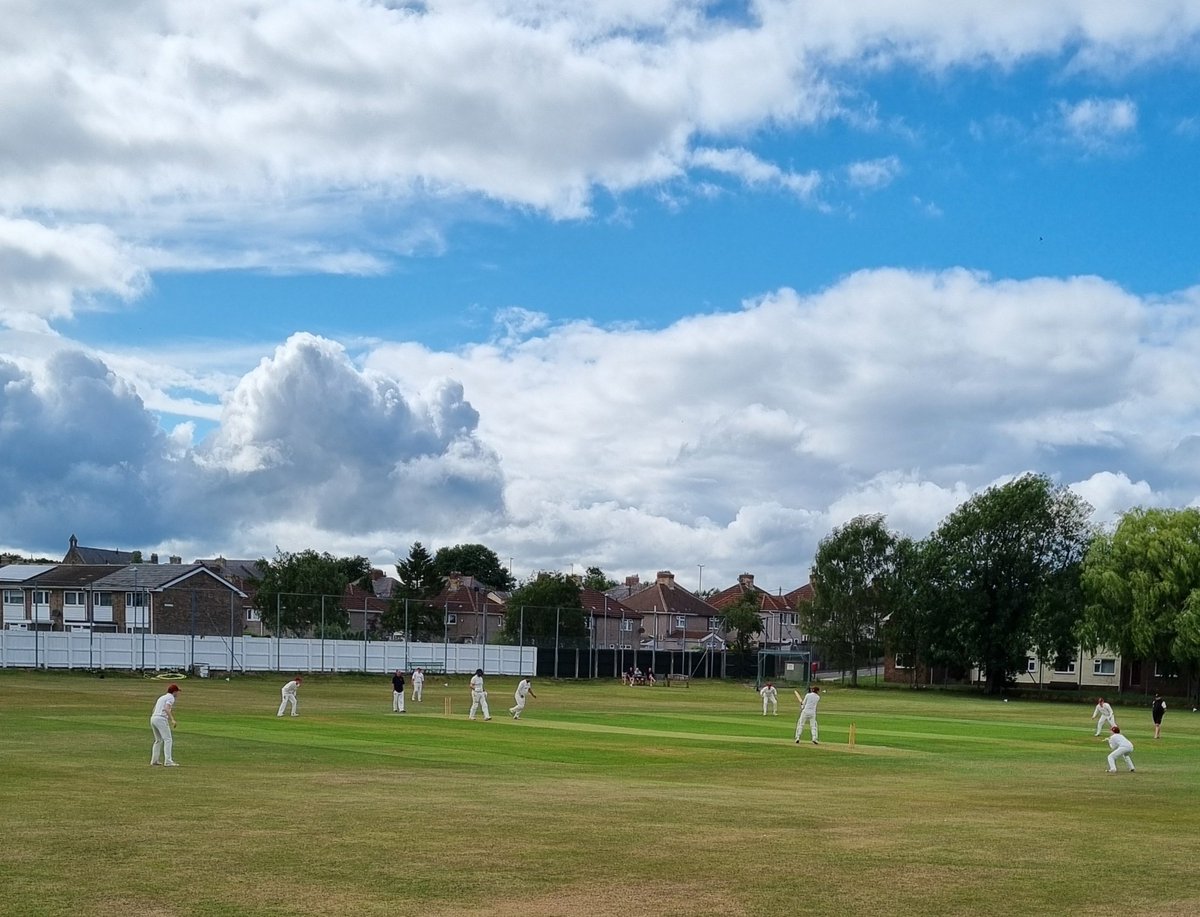 Lamnguin's tweet image. A quiet pint at the cricket. Because it's cheaper than a therapist.