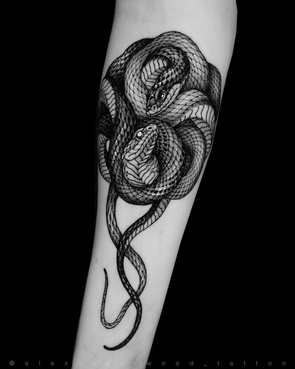 Insane realism piece by Alex Underwood using Killer Ink tattoo supplies! 🐍

#realism #tattoo