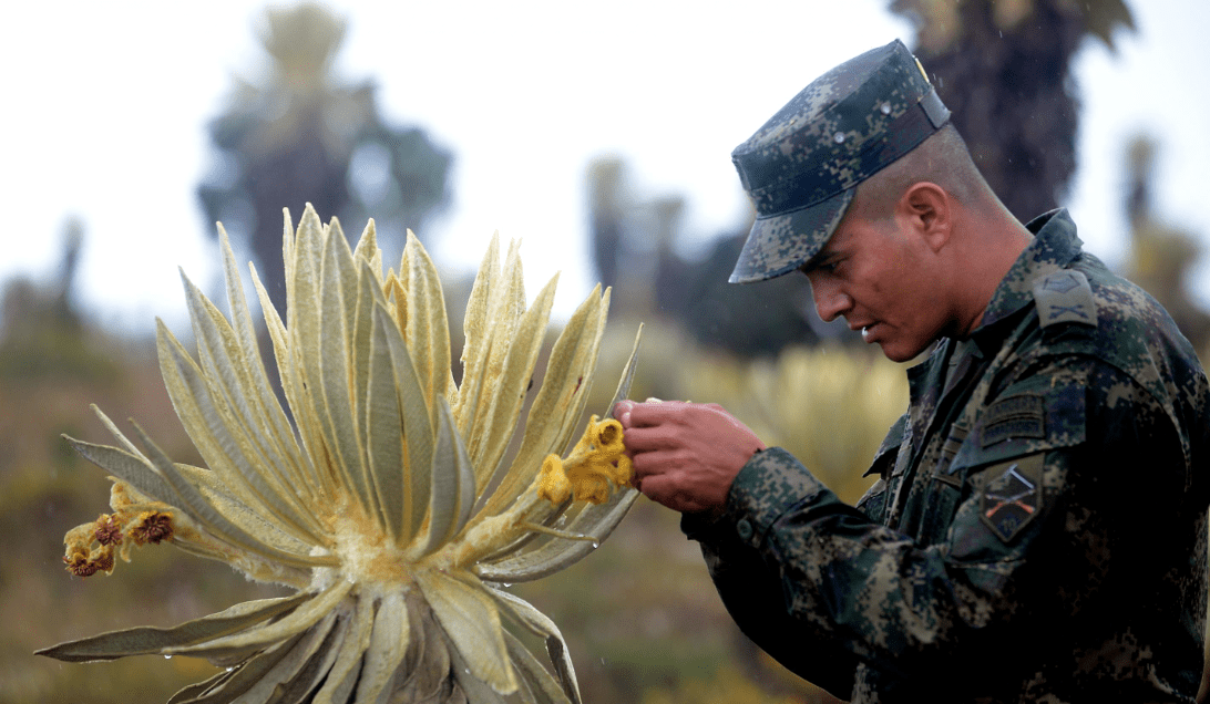 BlogSimbiosis's tweet image. Carta de un soldado moribundo proyectosimbiosis.colectivocrecet.com/recursos/carta…