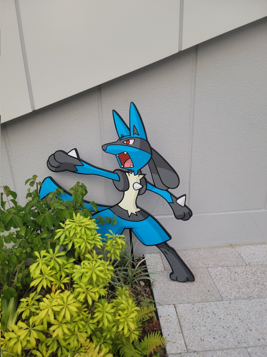 peeeech009's tweet image. ルカ様いたよ！
他にも沢山いたから改めて探しにいこう😊