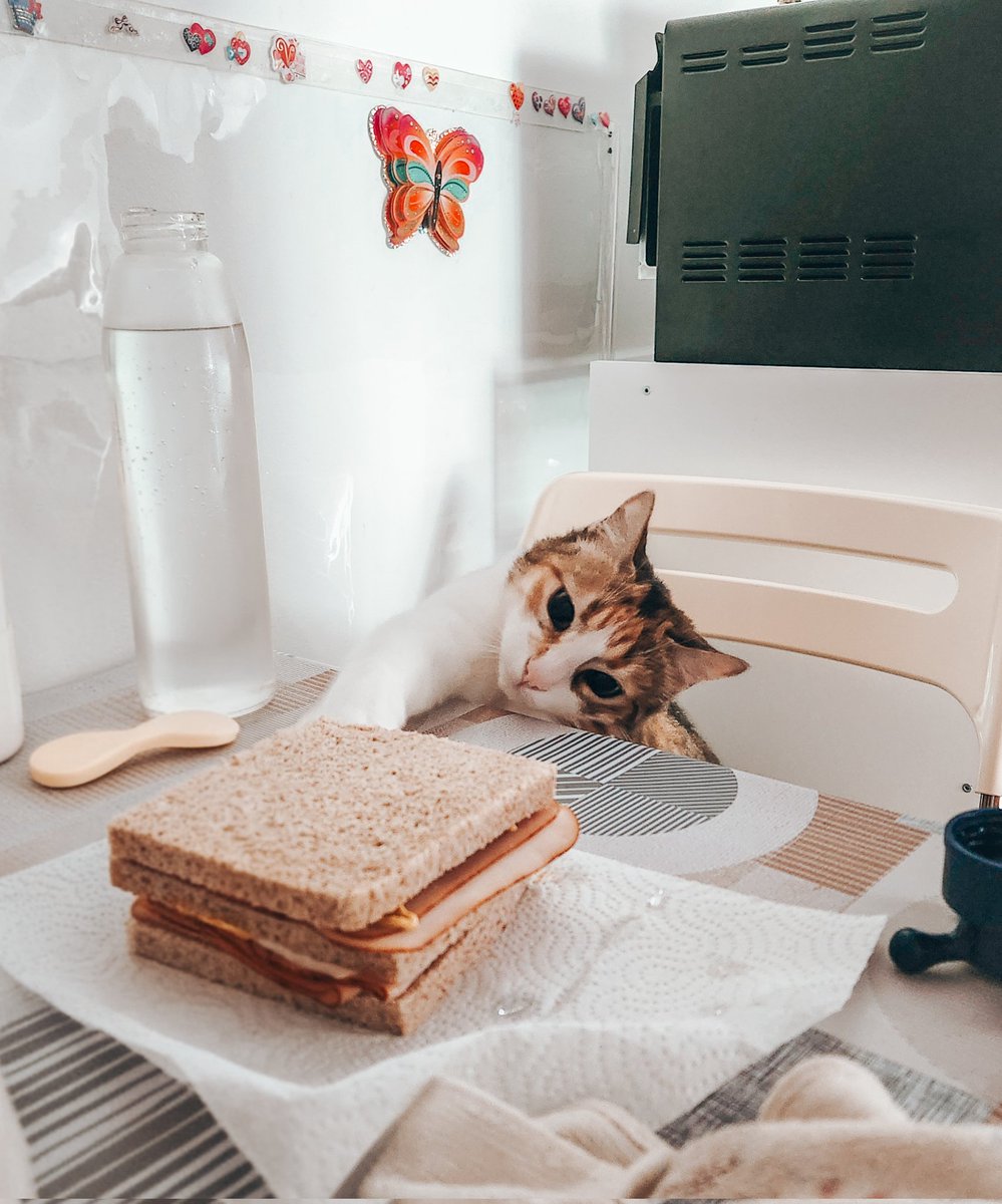 4 fotos, 1 palabra: ladrona