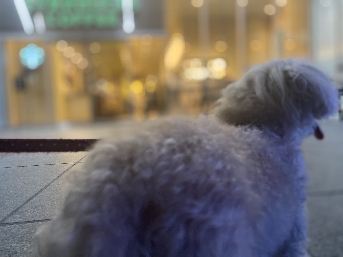 ✹( '-' ✹ )ｳﾆ!✺✺✺