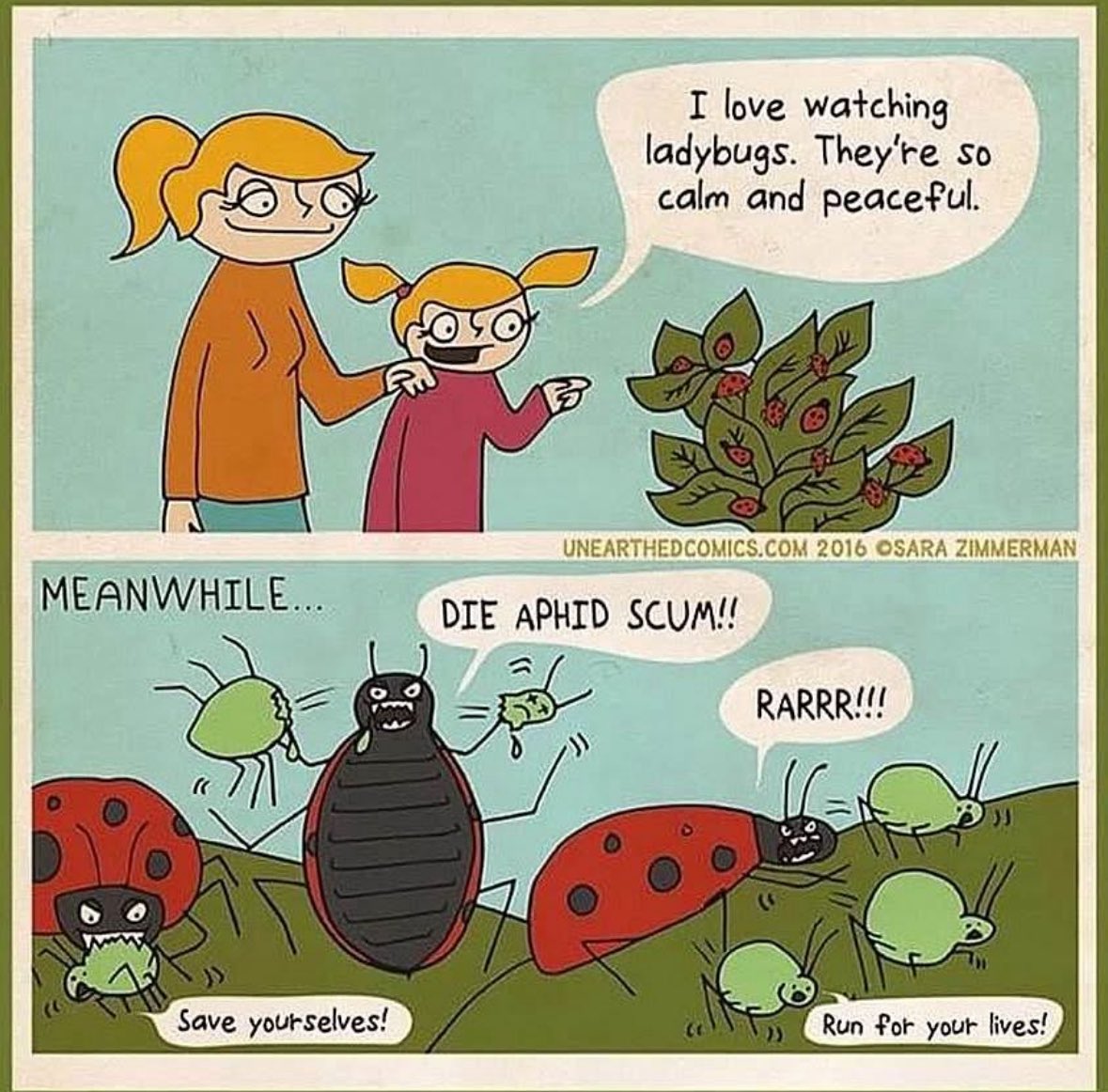 IPM….