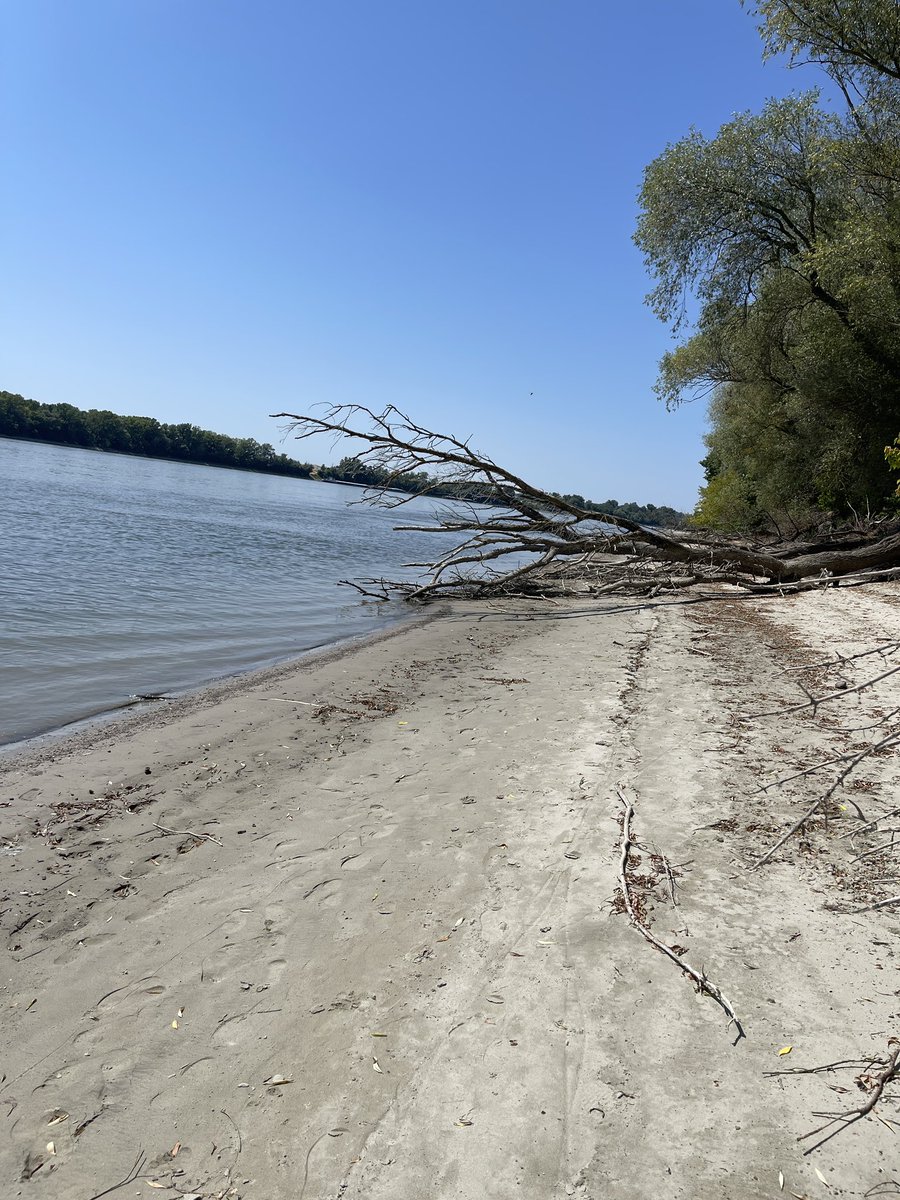 lyn (@lyn93409141) on Twitter photo 