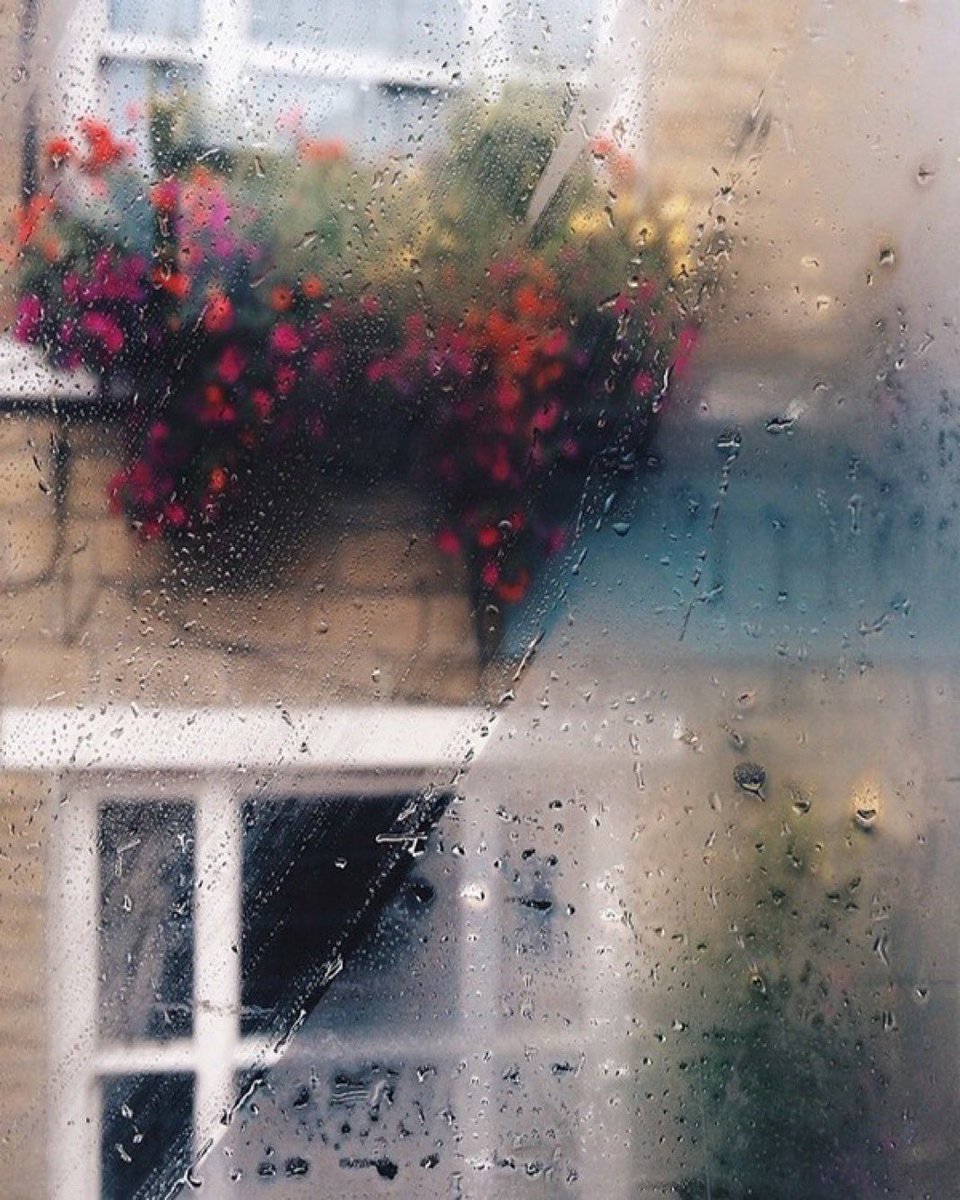 لقد نجا في هذه الدنيا من أدرك حكمة التخفّف، من تعلّم أن يُزيح عن كتفيه، مع غروب كل يوم، ما لا يستحق: أثقالًا لا تُرى، وهمومًا لا تنتمي، وذكرياتٍ لم تعد تصلح للبقاء.